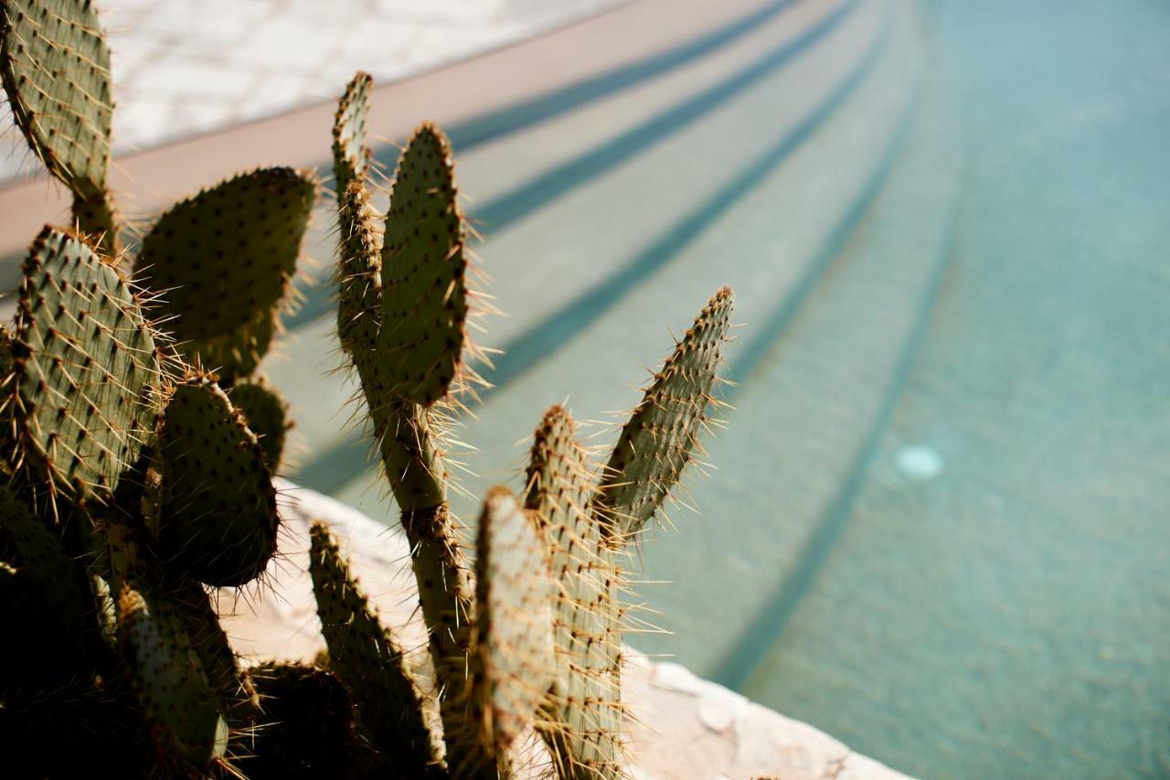 Bed and Breakfast Echi Di Puglia Полиньяно-а-Маре Экстерьер фото